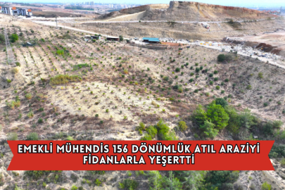 Emekli Mühendis 156 Dönümlük Atıl Araziyi Fidanlarla Yeşertti