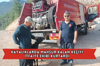 Kayalıklarda Mahsur Kalan Keçiyi İtfaiye Ekibi Kurtardı
