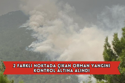 2 Farklı Noktada Çıkan Orman Yangını Kontrol Altına Alındı