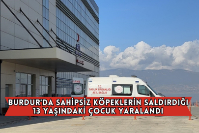 Burdur'da Sahipsiz Köpeklerin Saldırdığı 13 Yaşındaki Çocuk Yaralandı