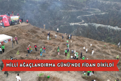 Milli Ağaçlandırma Günü'nde Fidan Dikildi