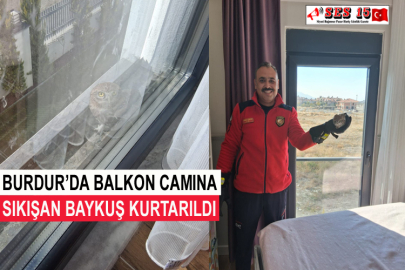 Burdur’da Balkon Camına Sıkışan Baykuş Kurtarıldı