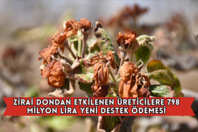 Zirai Dondan Etkilenen Üreticilere 798 Milyon Lira Yeni Destek Ödemesi
