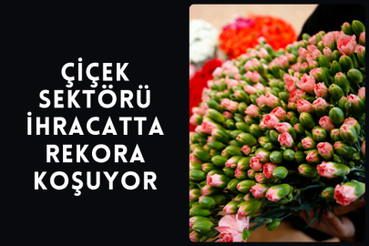 Çiçek Sektörü İhracatta Rekora Koşuyor