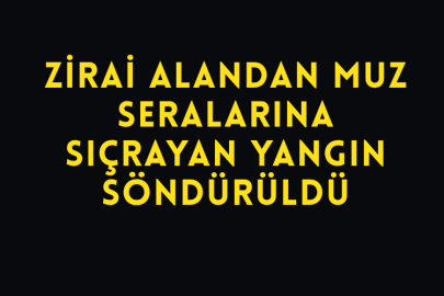 Zirai Alandan Muz Seralarına Sıçrayan Yangın Söndürüldü