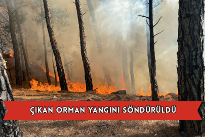 Çıkan Orman Yangını Söndürüldü
