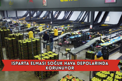 Isparta Elması Soğuk Hava Depolarında Korunuyor