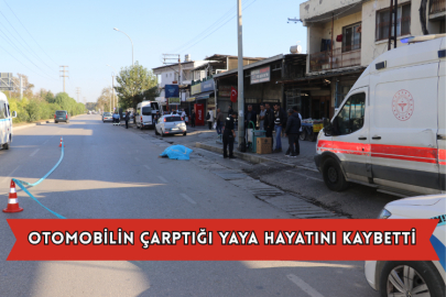 Otomobilin Çarptığı Yaya Hayatını Kaybetti