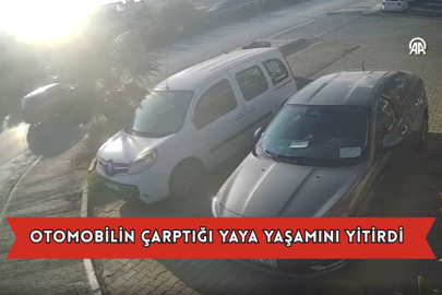 Otomobilin Çarptığı Yaya Yaşamını Yitirdi
