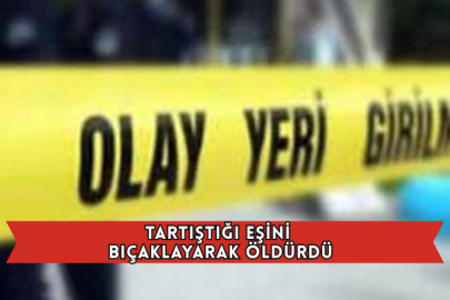 Tartıştığı Eşini Bıçaklayarak Öldürdü