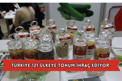 Türkiye 121 Ülkeye Tohum İhraç Ediyor