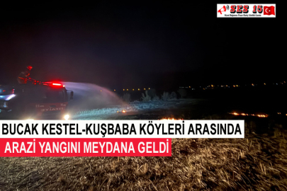 Bucak Kestel-Kuşbaba Köyleri Arasında Arazi Yangını Meydana Geldi