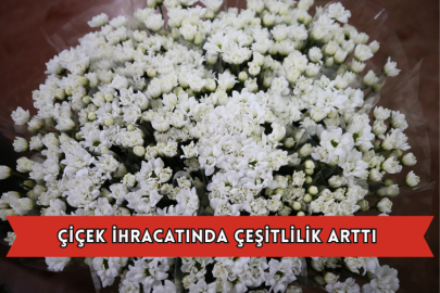 Çiçek İhracatında Çeşitlilik Arttı