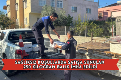 Sağlıksız Koşullarda Satışa Sunulan 250 Kilogram Balık İmha Edildi