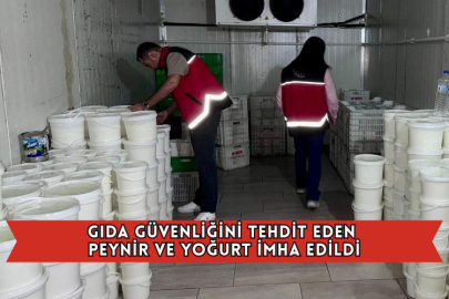Gıda Güvenliğini Tehdit Eden Peynir ve Yoğurt İmha Edildi