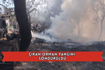 Çıkan Orman Yangını Söndürüldü