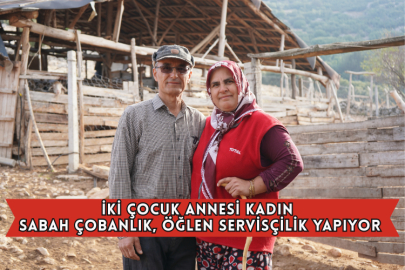 İki Çocuk Annesi Kadın Sabah Çobanlık, Öğlen Servisçilik Yapıyor