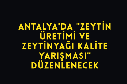 Antalya'da "Zeytin Üretimi ve Zeytinyağı Kalite Yarışması" Düzenlenecek