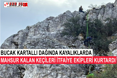 Bucak Kartallı Dağında Kayalıklarda Mahsur Kalan Keçileri İtfaiye Ekipleri Kurtardı