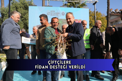 Çiftçilere Fidan Desteği Verildi