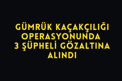 Gümrük Kaçakçılığı Operasyonunda 3 Şüpheli Gözaltına Alındı
