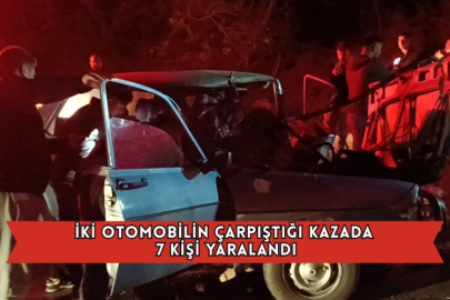 İki Otomobilin Çarpıştığı Kazada 7 Kişi Yaralandı