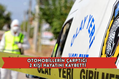 Otomobillerin Çarptığı 2 Kişi Hayatını Kaybetti