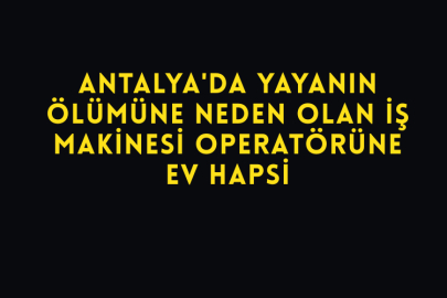 Antalya'da Yayanın Ölümüne Neden Olan İş Makinesi Operatörüne Ev Hapsi