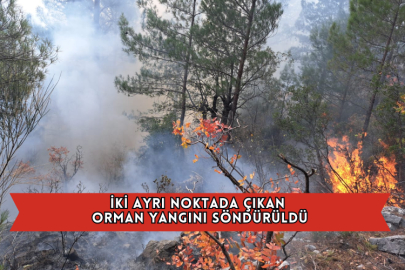 İki Ayrı Noktada Çıkan Orman Yangını Söndürüldü