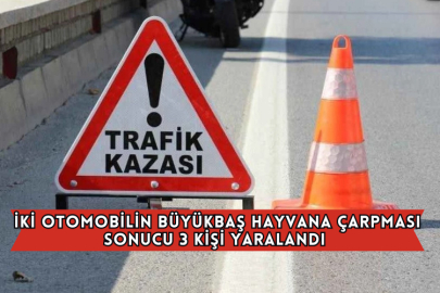 İki Otomobilin Büyükbaş Hayvana Çarpması Sonucu 3 Kişi Yaralandı