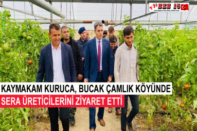 Kaymakam Kuruca, Bucak Çamlık Köyünde Sera Üreticilerini Ziyaret Etti