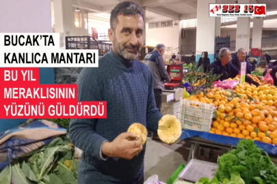 Bucak’ta Kanlıca Mantarı Bu Yıl Meraklısının Yüzünü Güldürdü