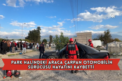 Park Halindeki Araca Çarpan Otomobilin Sürücüsü Öldü