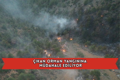 Çıkan Orman Yangınına Müdahale Ediliyor