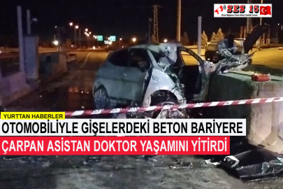 Otomobiliyle Gişelerdeki Beton Bariyere Çarpan Asistan Doktor Yaşamını Yitirdi