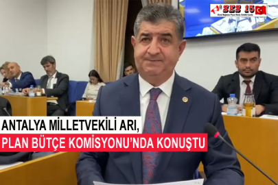 Antalya Milletvekili Arı, Plan Bütçe Komisyonu’nda Konuştu