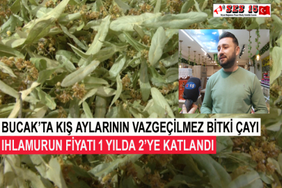 Bucak’ta Kış Aylarının Vazgeçilmez Bitki Çayı Ihlamurun Fiyatı 1 Yılda 2’ye Katlandı