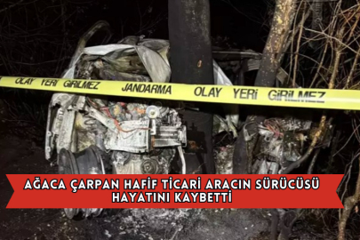 Ağaca Çarpan Hafif Ticari Aracın Sürücüsü Hayatını Kaybetti