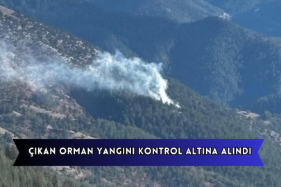 Çıkan Orman Yangını Kontrol Altına Alındı