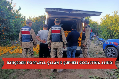 Bahçeden Portakal Çalan 5 Şüpheli Gözaltına Alındı