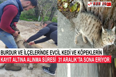 Burdur Ve İlçelerinde Evcil Kedi Ve Köpeklerin Kayıt Altına Alınma Süresi  31 Aralık’ta Sona Eriyor