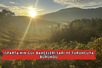 Isparta'nın Gül Bahçeleri Sarı Ve Turuncuya Büründü
