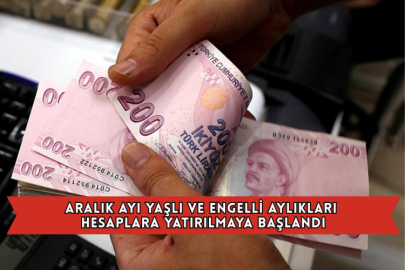 Aralık Ayı Yaşlı ve Engelli Aylıkları Hesaplara Yatırılmaya Başlandı