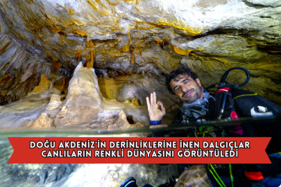 Doğu Akdeniz'in Derinliklerine İnen Dalgıçlar Canlıların Renkli Dünyasını Görüntüledi