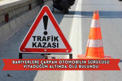 Bariyerlere Çarpan Otomobilin Sürücüsü Viyadüğün Altında Ölü Bulundu