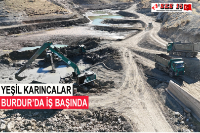 Yeşil Karıncalar Burdur’da İş Başında