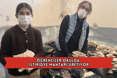 Öğrenciler Okulda İstiridye Mantarı Üretiyor