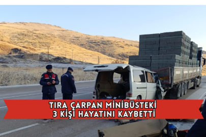 Tıra Çarpan Minibüsteki 3 Kişi Hayatını Kaybetti