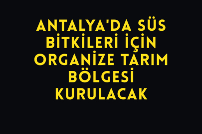 Antalya'da Süs Bitkileri İçin Organize Tarım Bölgesi Kurulacak
