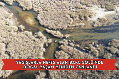 Yağışlarla Nefes Alan Bafa Gölü'nde Doğal Yaşam Yeniden Canlandı